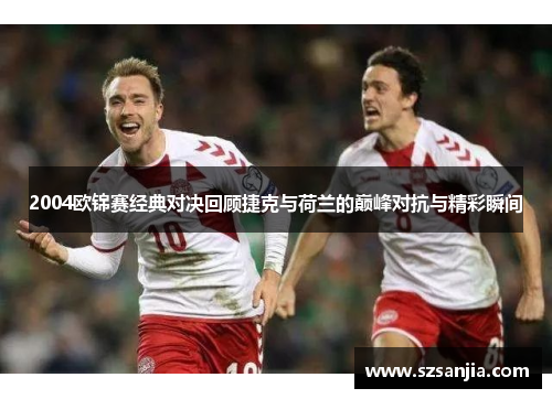 2004欧锦赛经典对决回顾捷克与荷兰的巅峰对抗与精彩瞬间