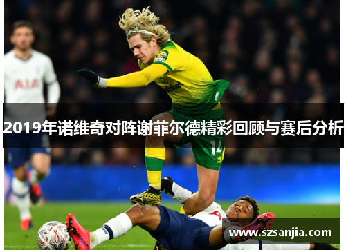 2019年诺维奇对阵谢菲尔德精彩回顾与赛后分析